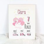 Lienzo Datos Nacimiento Cisne