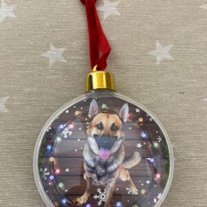 Bola de Navidad plástico personalizada fotos 2 caras